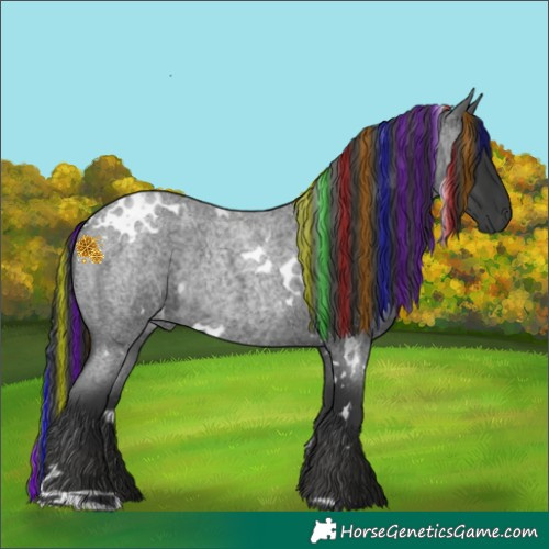 Horse Color:Painted White Spotted Blue Roan Rabicano 