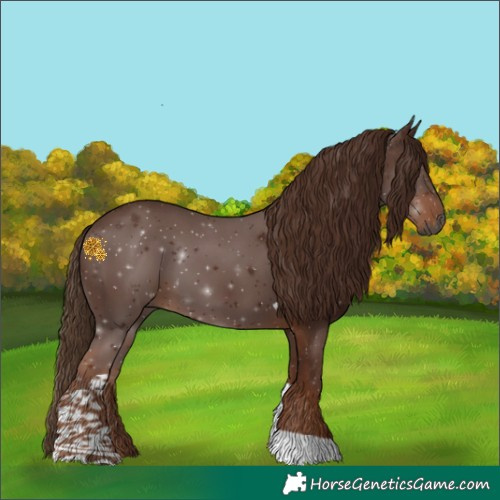 Horse Color:Gray Chestnut Tobiano 