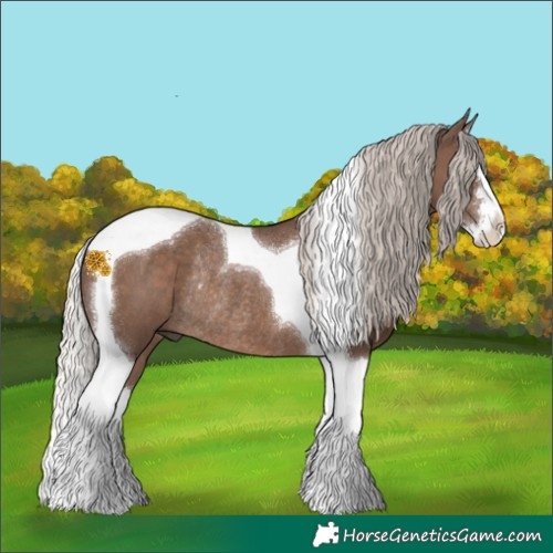 Horse Color:Silver Black Sabino Splash Tobiano Rabicano 
