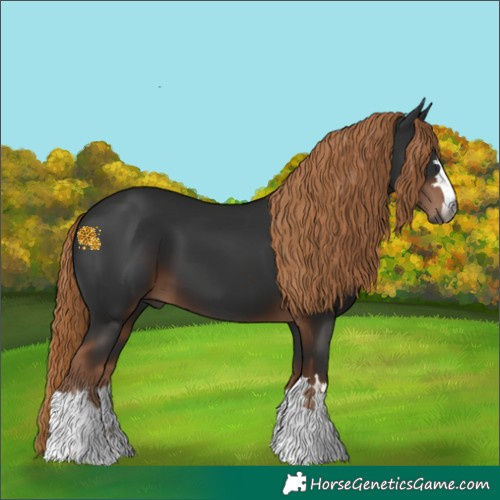 Horse Color:Gray Liver Chestnut 