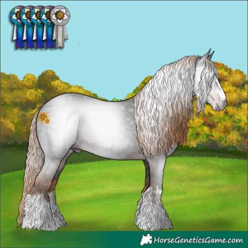 Horse Color:Gray Liver Chestnut 