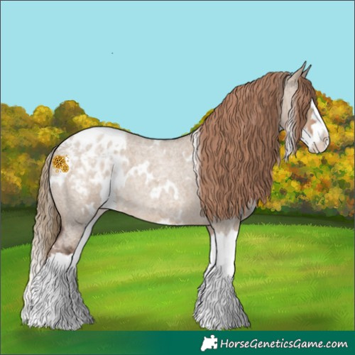 Horse Color:White Spotted Liver Red Dun Roan Splash Varnish 