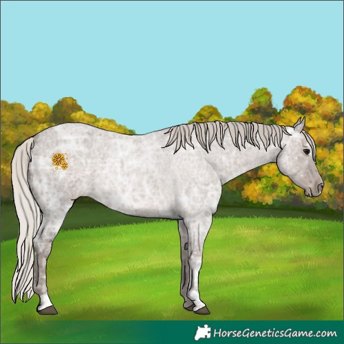 Horse Color:Silver Blue Ice Roan 