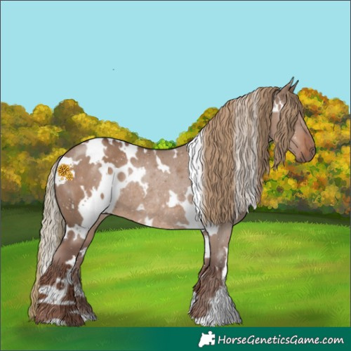 Horse Color:White Spotted Liver Red Dun Rabicano 