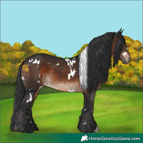 Horse Color:White Spotted Brown 