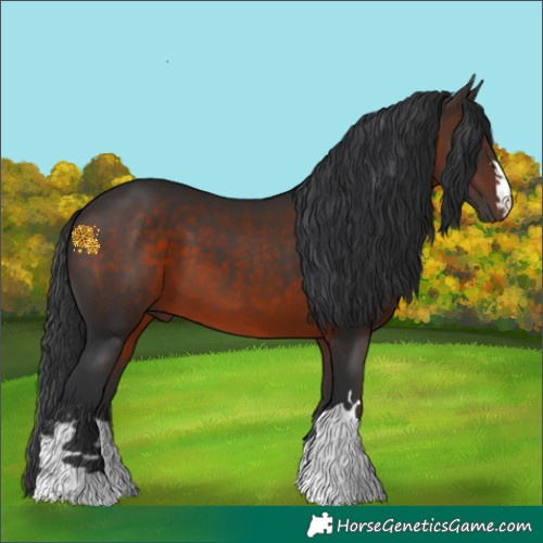 Horse Color:Brown 