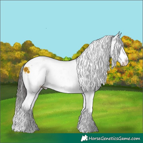 Horse Color:Brown Sabino Splash 