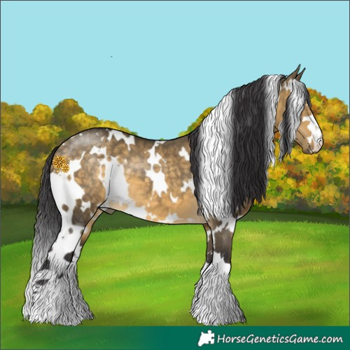 Horse Color:White Spotted Buckskin Dun 