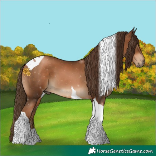 Horse Color:Gray Liver Chestnut Pearl Tobiano 