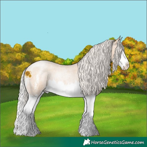 Horse Color:Silver Brown Roan Pearl Dun Sabino Splash 