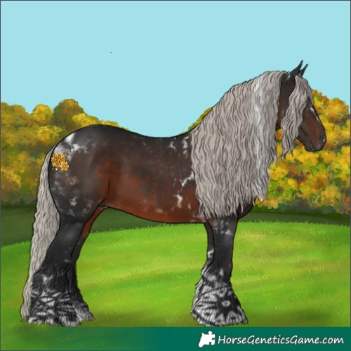 Horse Color:Gray Silver Brown Tobiano 