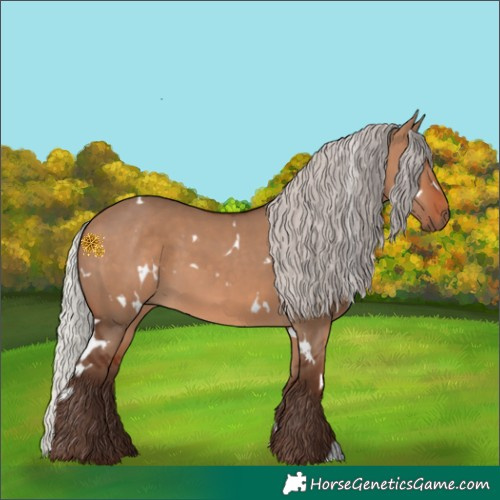 Horse Color:White Spotted Silver Brown Dun 