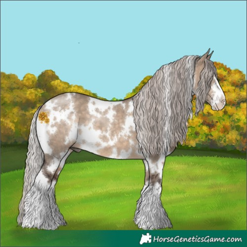 Horse Color:White Spotted Silver Brown Dun 