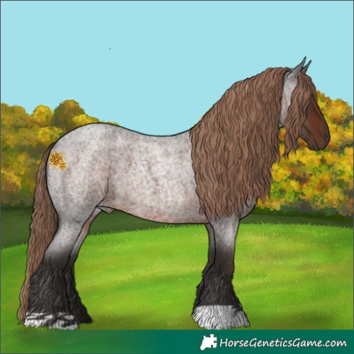 Horse Color:Liver Red Roan 