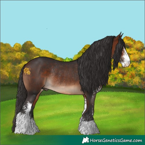 Horse Color:Bay Sabino Rabicano 