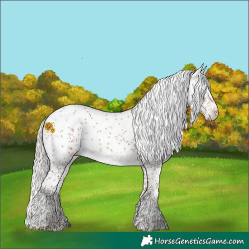 Horse Color:Silver Bay Sabino Rabicano 