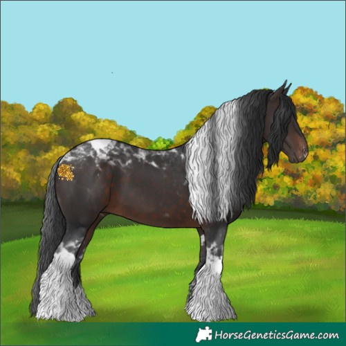 Horse Color:Brown Tobiano 