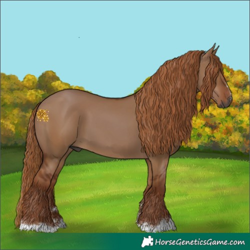 Horse Color:Gray Red Dun 