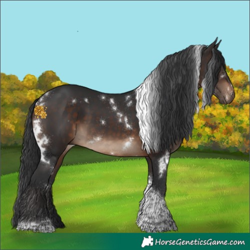Horse Color:White Spotted Brown Tobiano 