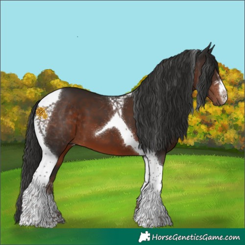 Horse Color:Liver Chestnut Tobiano 