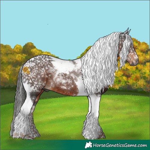 Horse Color:Gray Liver Chestnut Tobiano 