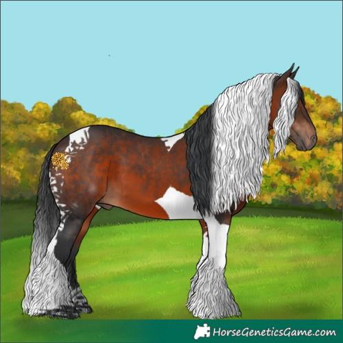 Horse Color:Brown Tobiano 