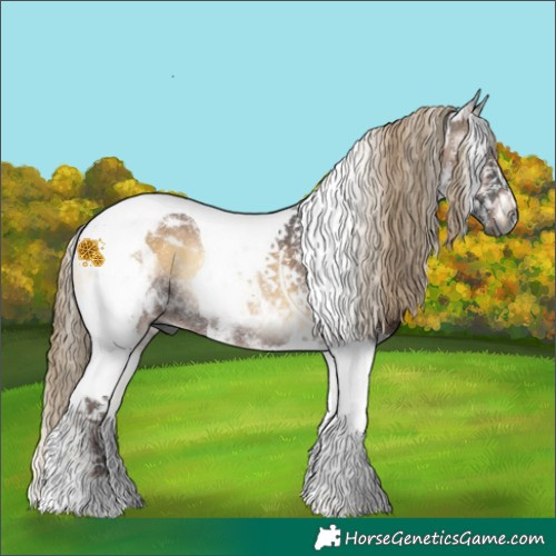 Horse Color:Gray Liver Red Onyx Tobiano Rabicano 