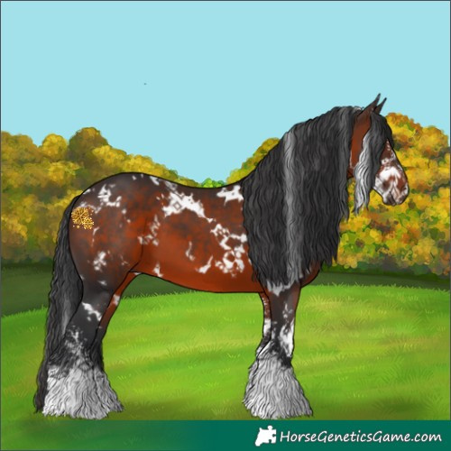 Horse Color:White Spotted Brown Sabino 