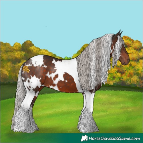 Horse Color:White Spotted Silver Brown Tobiano 