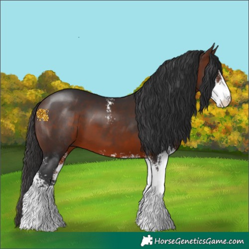 Horse Color:Brown Sabino 