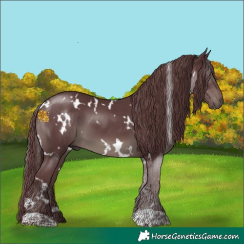 Horse Color:White Spotted Chocolate Black 