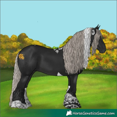 Horse Color:Gray Silver Brown Tobiano 