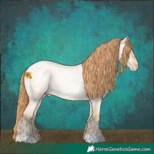 Horse Color:Buckskin Roan Pearl Dun 
