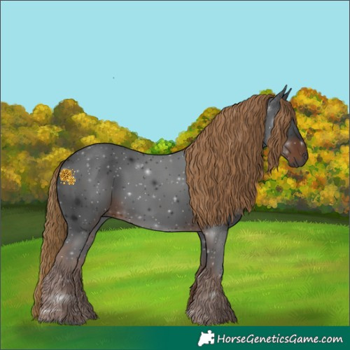 Horse Color:Gray Liver Chestnut 