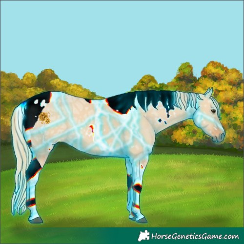 Horse Color:Thunderstruck White Spotted Red Dun Ice Tobiano 