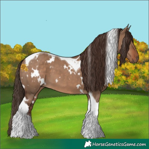Horse Color:White Spotted Liver Red Dun Tobiano 