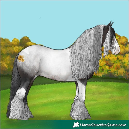 Horse Color:Brown Sabino Tobiano Rabicano 