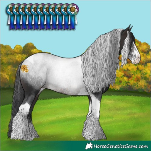 Horse Color:Brown Sabino Tobiano Rabicano 