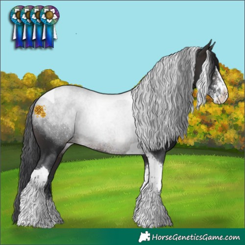 Horse Color:Brown Sabino Tobiano Rabicano 