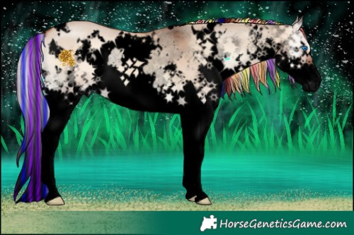 Horse Color:Void Painted White Spotted Silver Bay Onyx Splash 