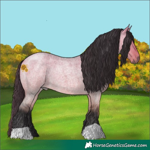 Horse Color:Buckskin Roan Dun 