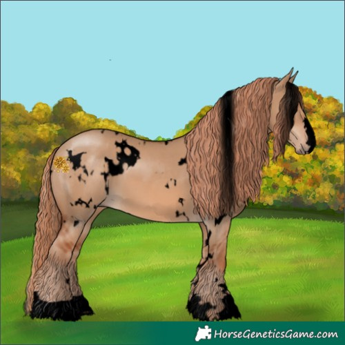 Horse Color:Void White Spotted Red Dun 