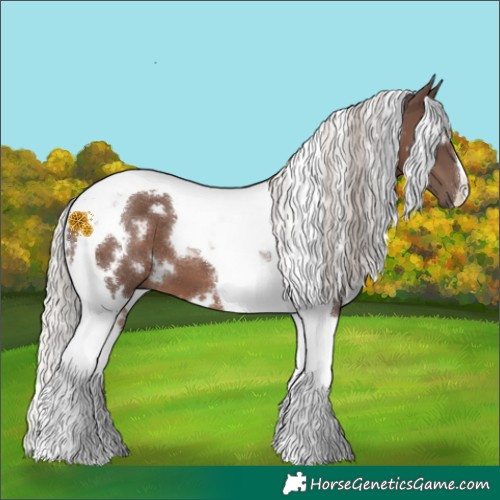 Horse Color:White Spotted Silver Black Tobiano 
