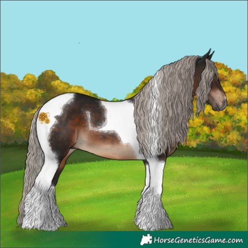 Horse Color:Gray Silver Brown Tobiano 