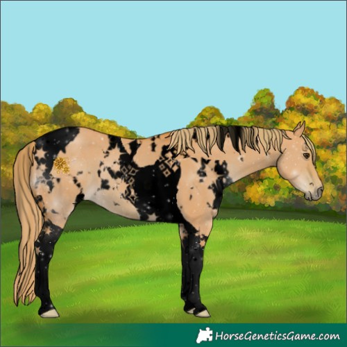 Horse Color:Void Watercolor White Spotted Liver Red Dun Tobiano 