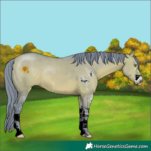 Horse Color:Watercolor Brown Dun Sabino 