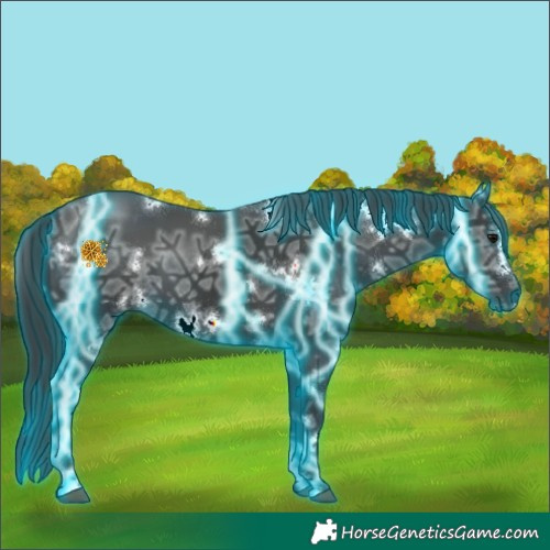 Horse Color:Thunderstruck White Spotted Black Ice 