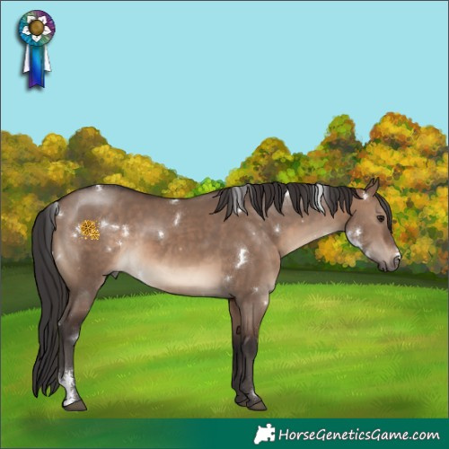 Horse Color:White Spotted Brown Dun Sabino 