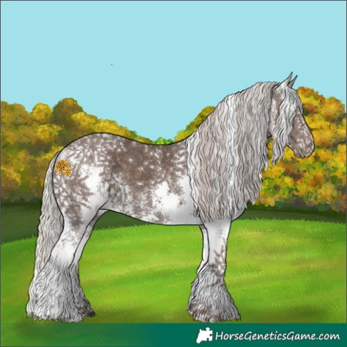 Horse Color:Silver Black Sabino 