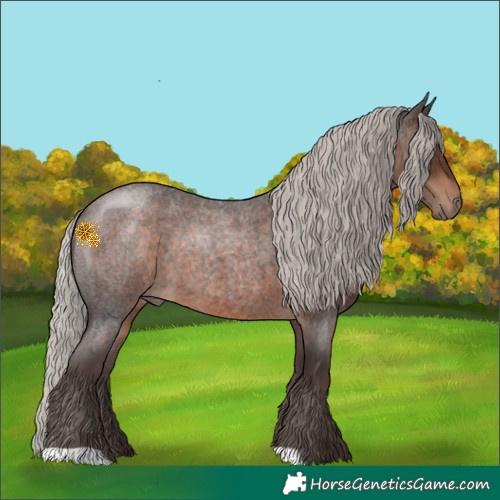 Horse Color:Silver Brown Roan Rabicano 